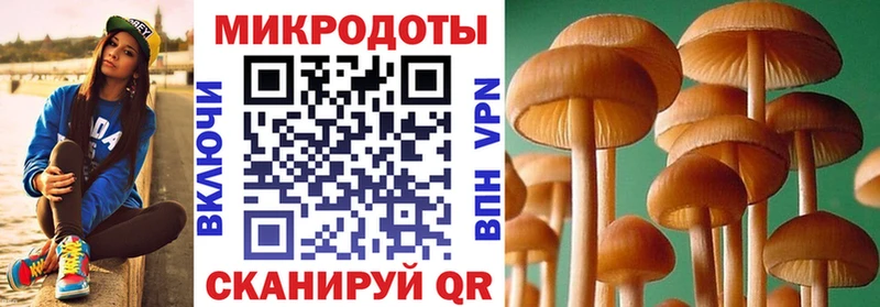 Галлюциногенные грибы мицелий  Нефтекамск 